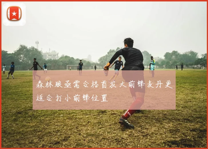 森林狼亟需合格首发大前锋麦丹更适合打小前锋位置