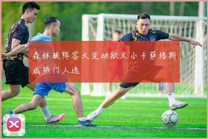 森林狼阵容大变动欧文小卡萨格斯成热门人选
