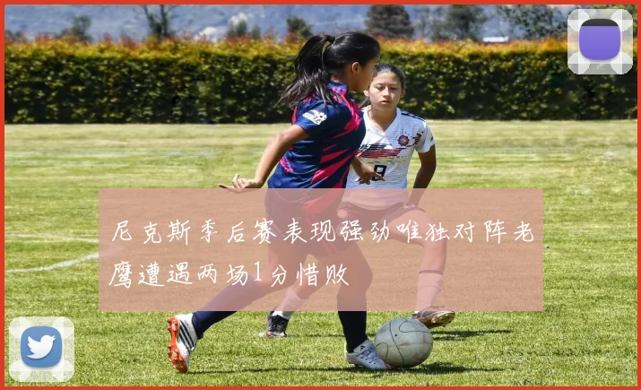 尼克斯季后赛表现强劲唯独对阵老鹰遭遇两场1分惜败